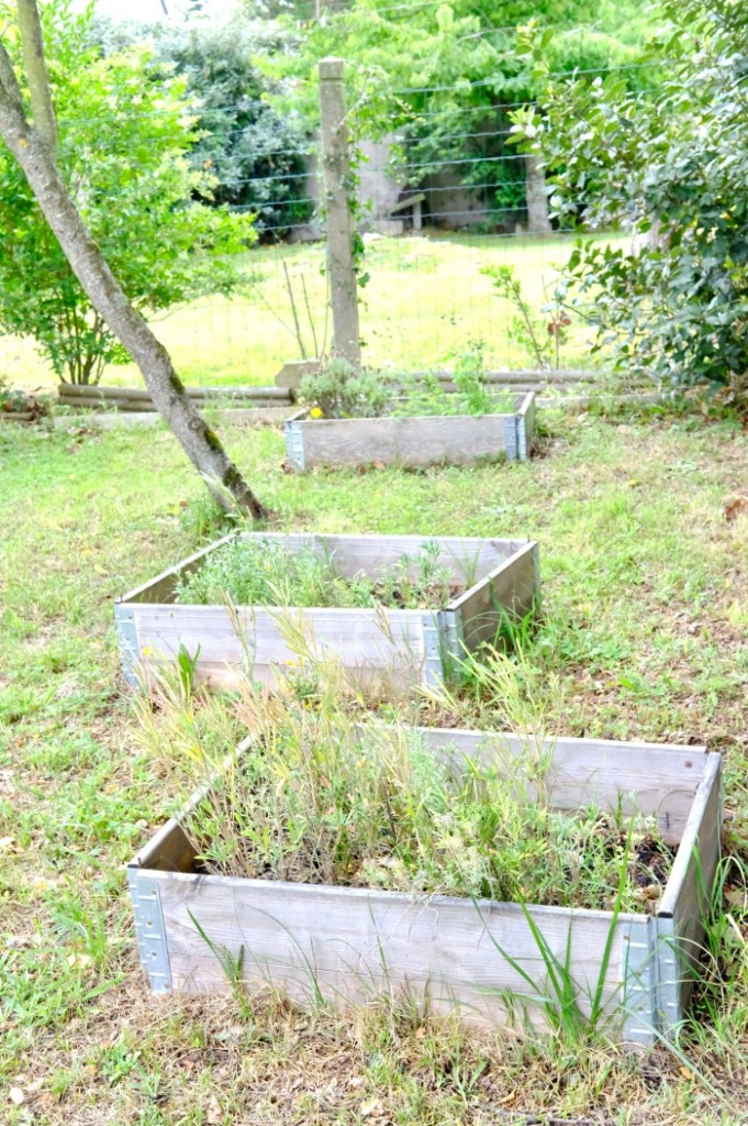 Carré potager