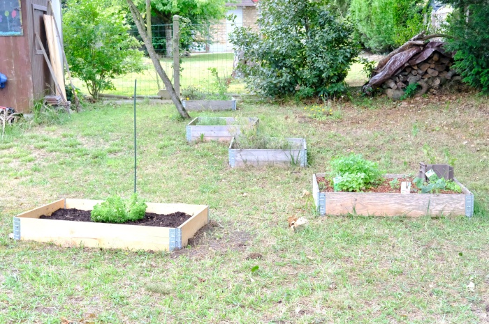 jardin carré potager